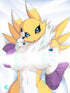 Renamon Body pillow case DIGIMON Mitgard-Knight